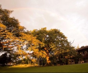 Coffee Farm Source: flickr.com by Triangulo del Cafe